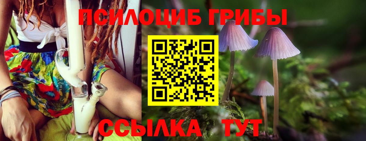 Видное  Псилоцибиновые грибы Cubensis  Галлюциногенные грибы мицелий  Вход с VPN 
